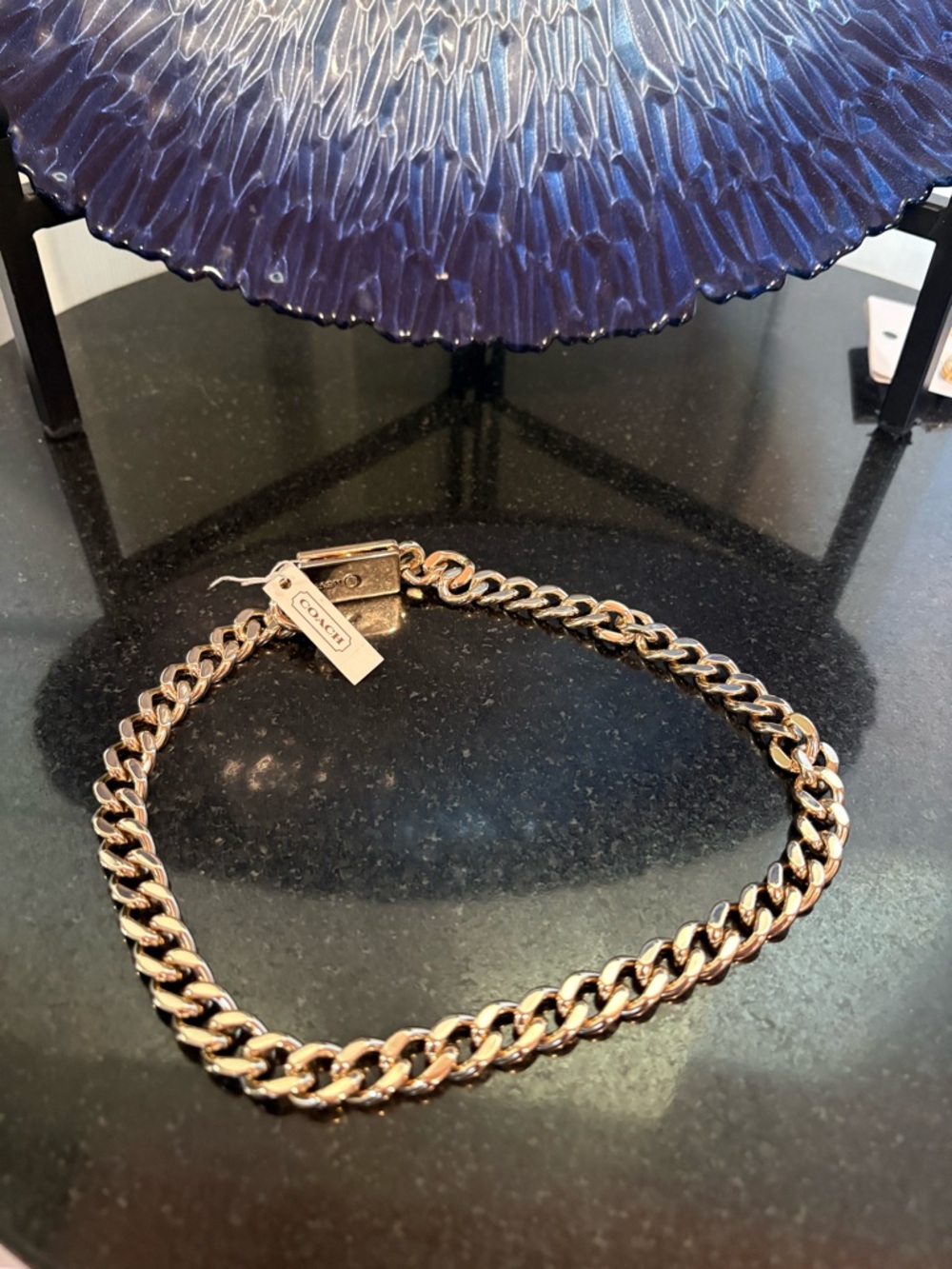 Coach New Gold-Tone Chunky Curb Link Chain Necklace